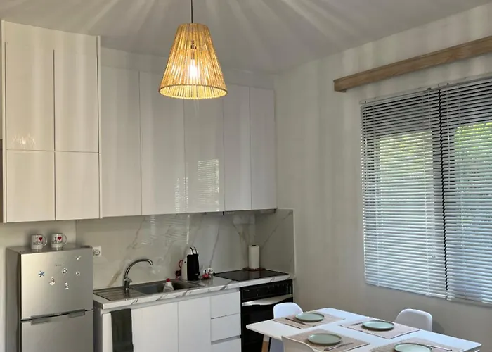 Nest Daire Dıraç