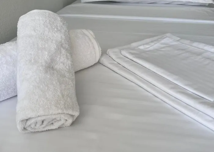 Nest Daire Dıraç